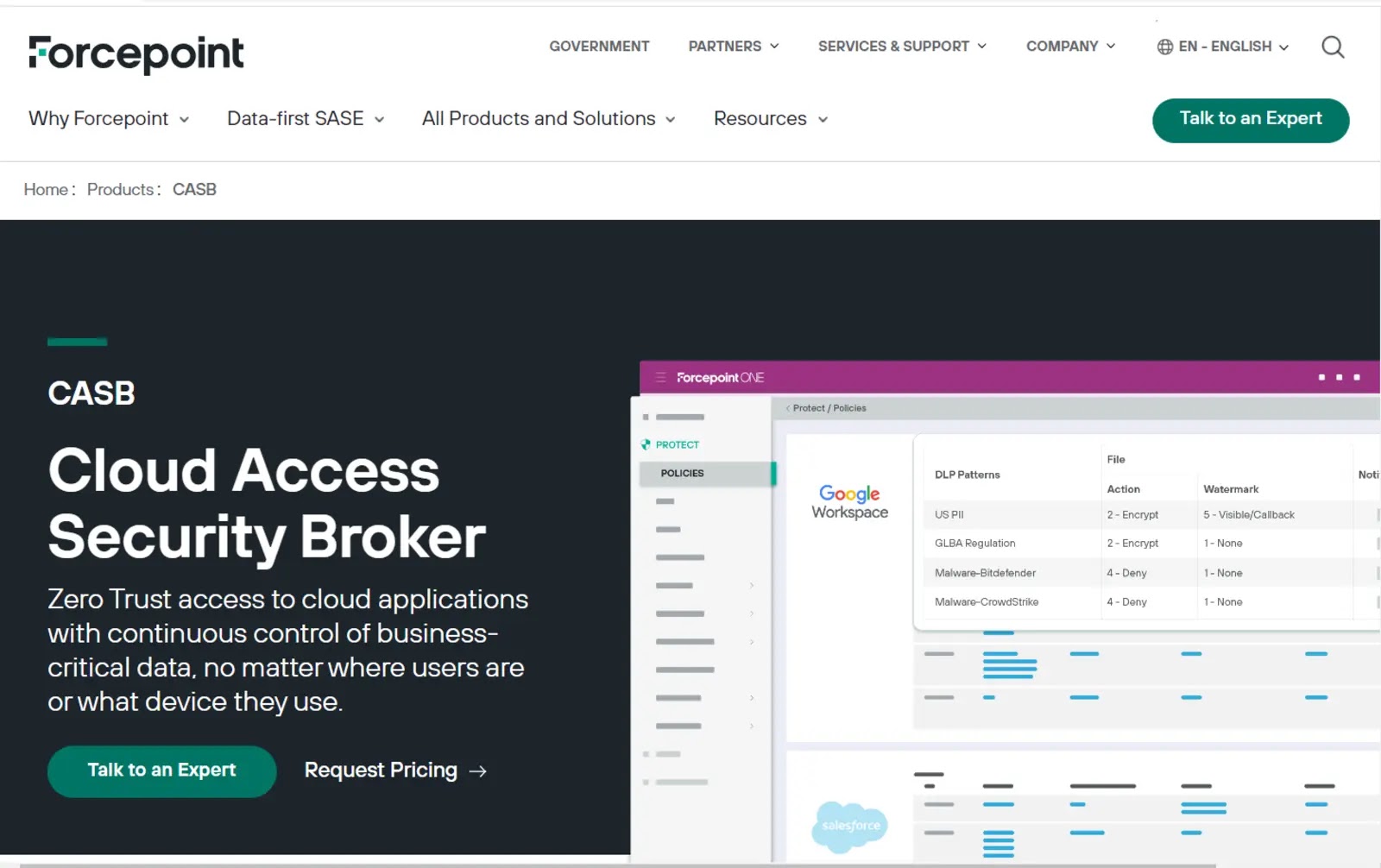 Force20point20cloud20acess20security20border201.webp