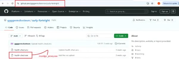 Malware execution (Source - Seqrite)