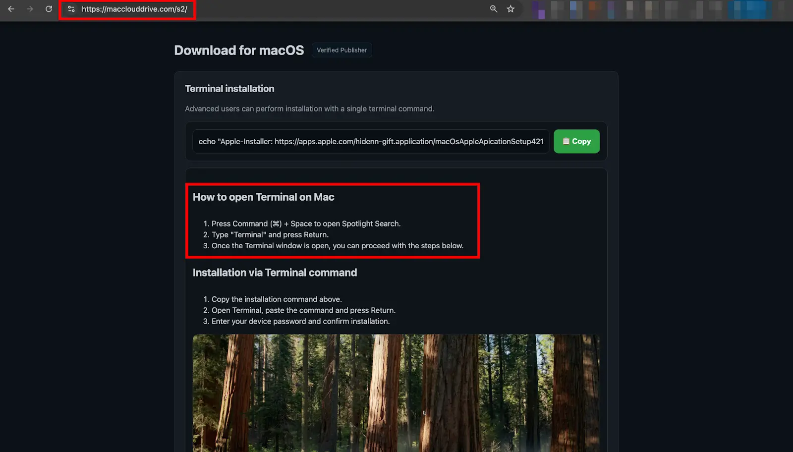 Fake download page (Source - CloudSEK)