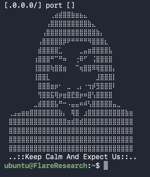 An ASCII art found in one of the files of the threat actor (Source - Flare)