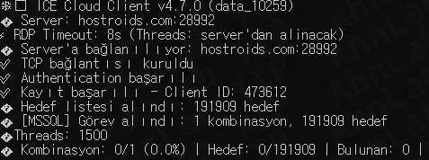 ICE Cloud Client execution log (Source - ASEC)