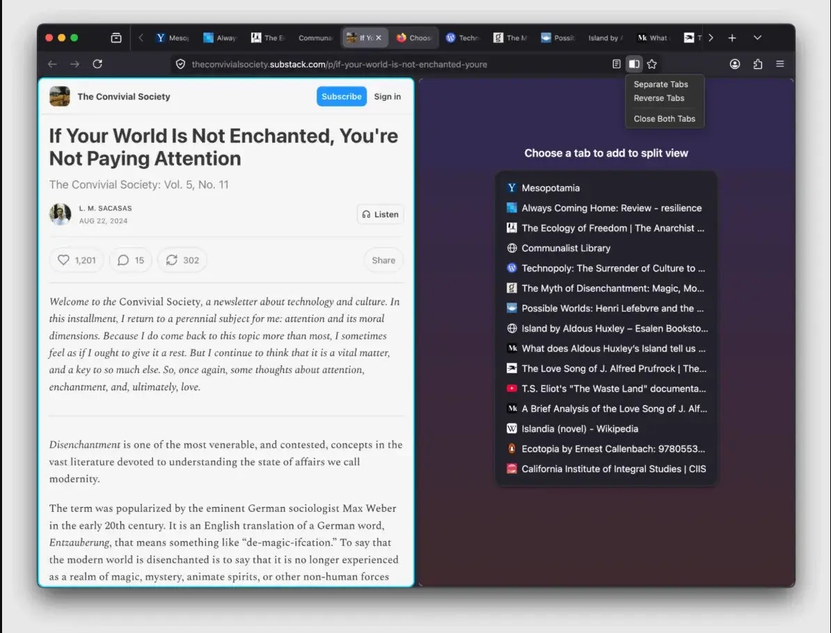 Split View lets you open two pages side-by-side just select tabs and enable it(source : firefox)