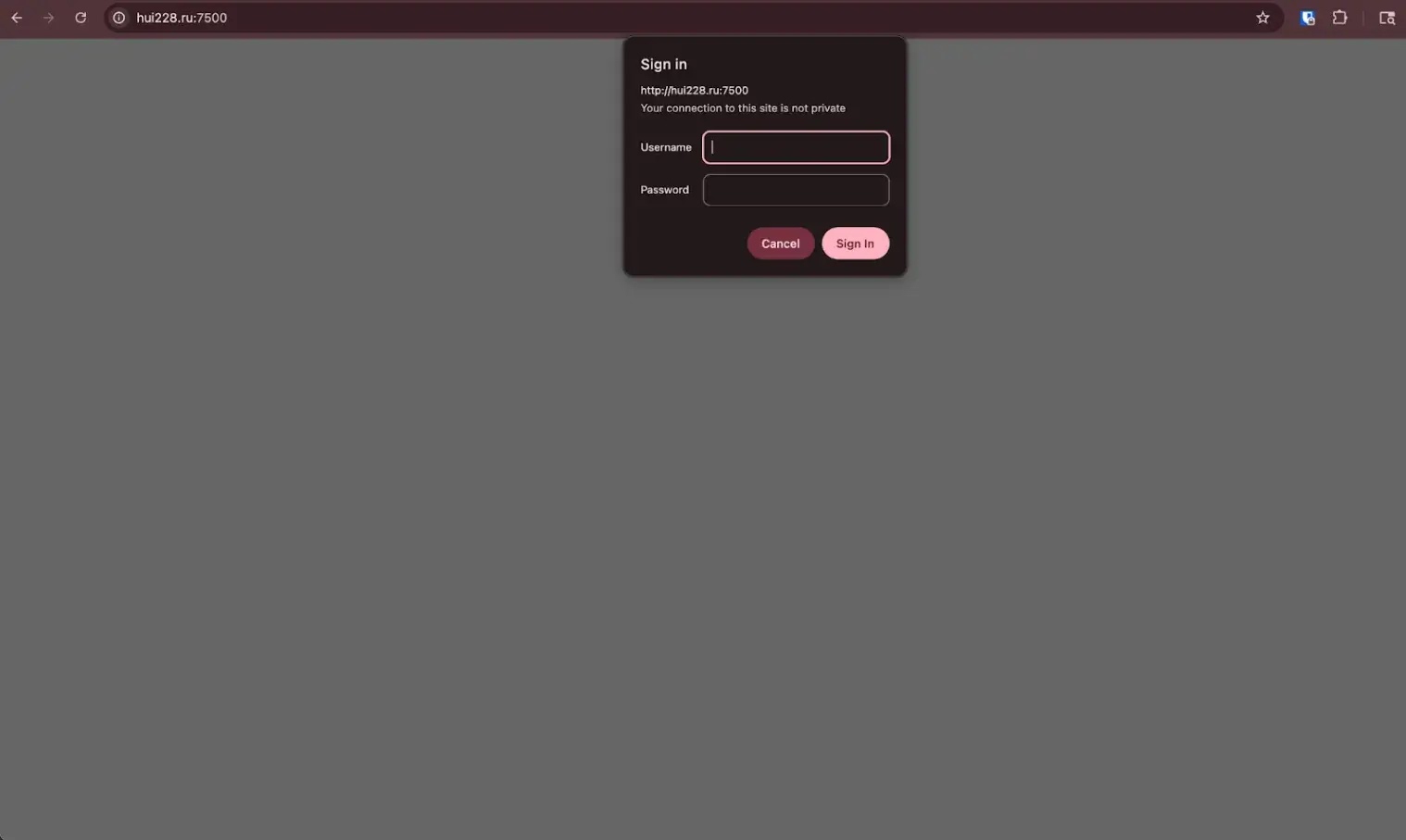 Suspected password protected console on hui228[.]ru(source : censys )