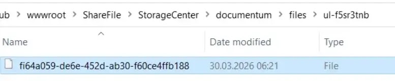 uploaded file with no extension and randomized name(Source: WatchTowr)