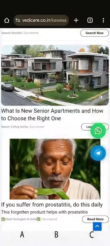 Deepfake Ad on a Pushpaganda-Associated Domain (Source - Human)