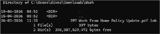 ZIP Archive Contents (Source - Cyfirma)