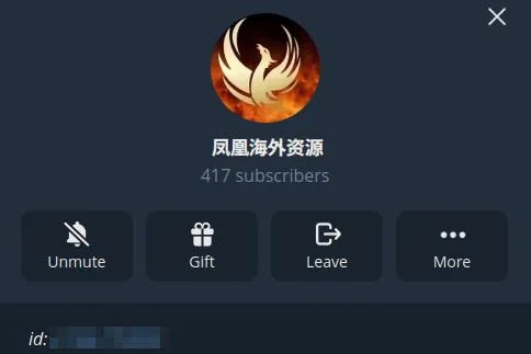 Phoenix Overseas Resources’ Telegram channel (Source - Group-IB)