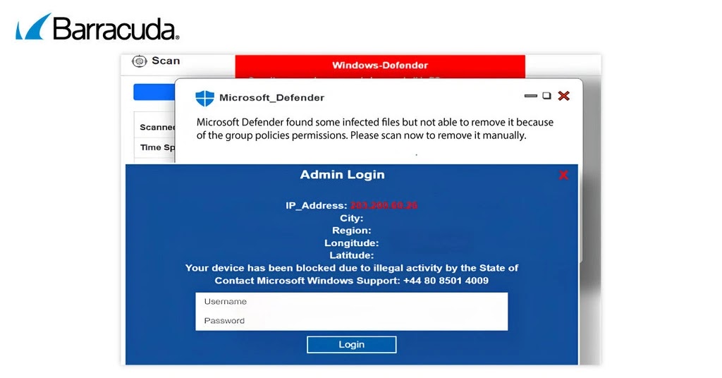 Spoofed Login Form (Source - Barracuda)