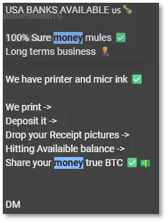 User in carding Telegram channel offering money mule services (Source - Kela)