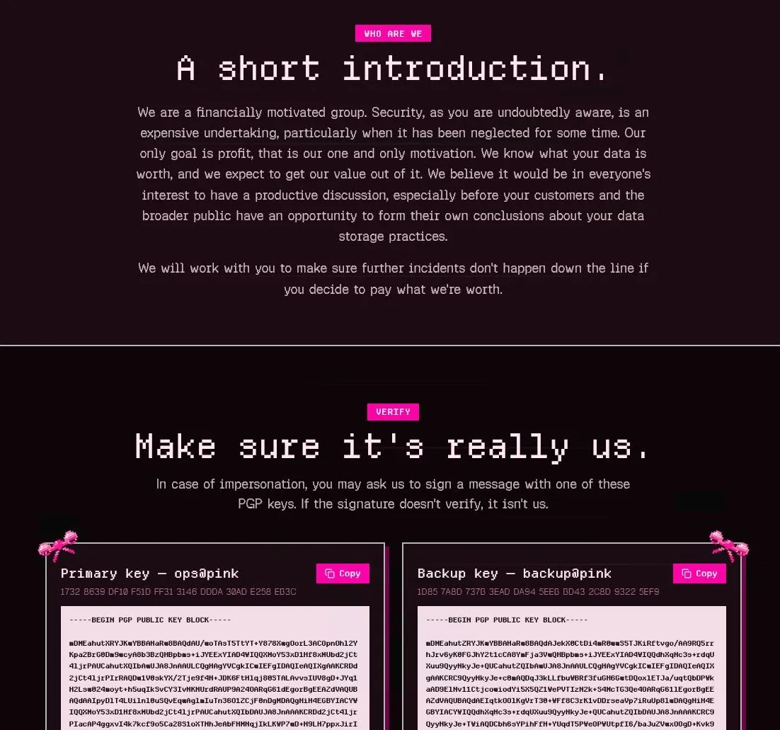 Pink Group Introduction (Source - Linkedin)