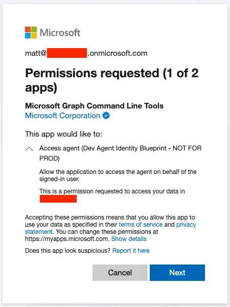 Consent dialog (Source - Red Canary)