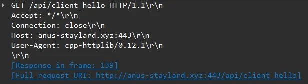Wireshark capture of a Potemkin DGA probe to C2 anus-staylard[.]xyz (Source - Huntress)