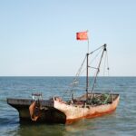 China-Linked Showboat Malware Targets Telecom via Linux