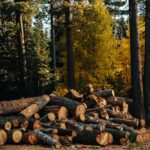 InfoStealer Logs Fuel Massive Cloud Data Breaches
