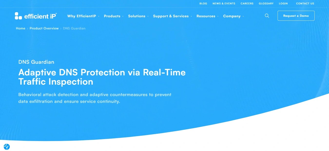 EfficientIP — Best European DDI Security