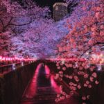 Sakura Internet Breach Exposes 1.36 Million Customer Records