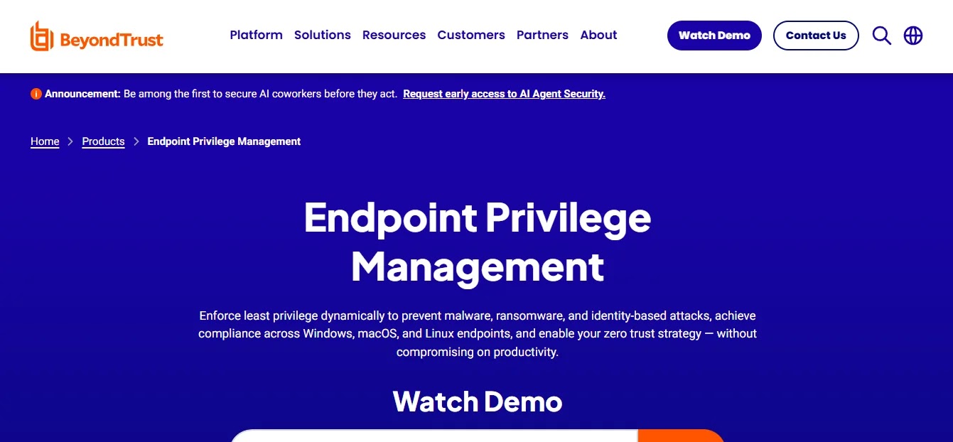 BeyondTrust Endpoint Privilege Management application rules