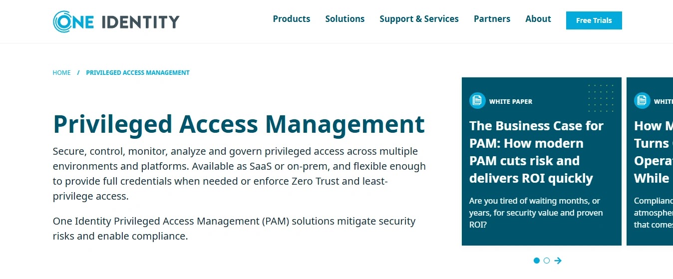 One Identity privilege management within identity governance