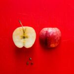 Apple Patches 273 Flaws Across iOS, macOS, watchOS, and tvOS