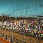 North Korea Suffers Internet Outage From Multiple DDoS Attacks